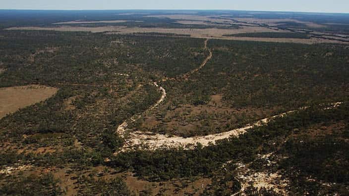 Water expert says the QLD government has 'no clue' about the impact of an Adani mine on groundwater.