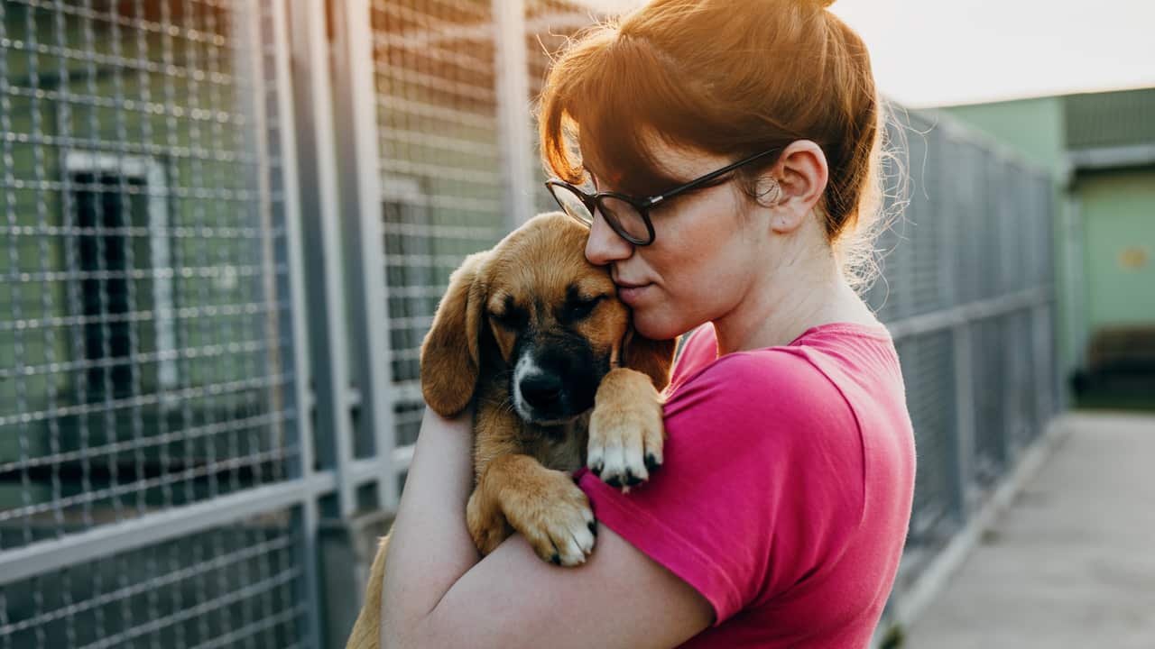 Giving animals a second chance is a rewarding experience Getty Images/Group4 Studio