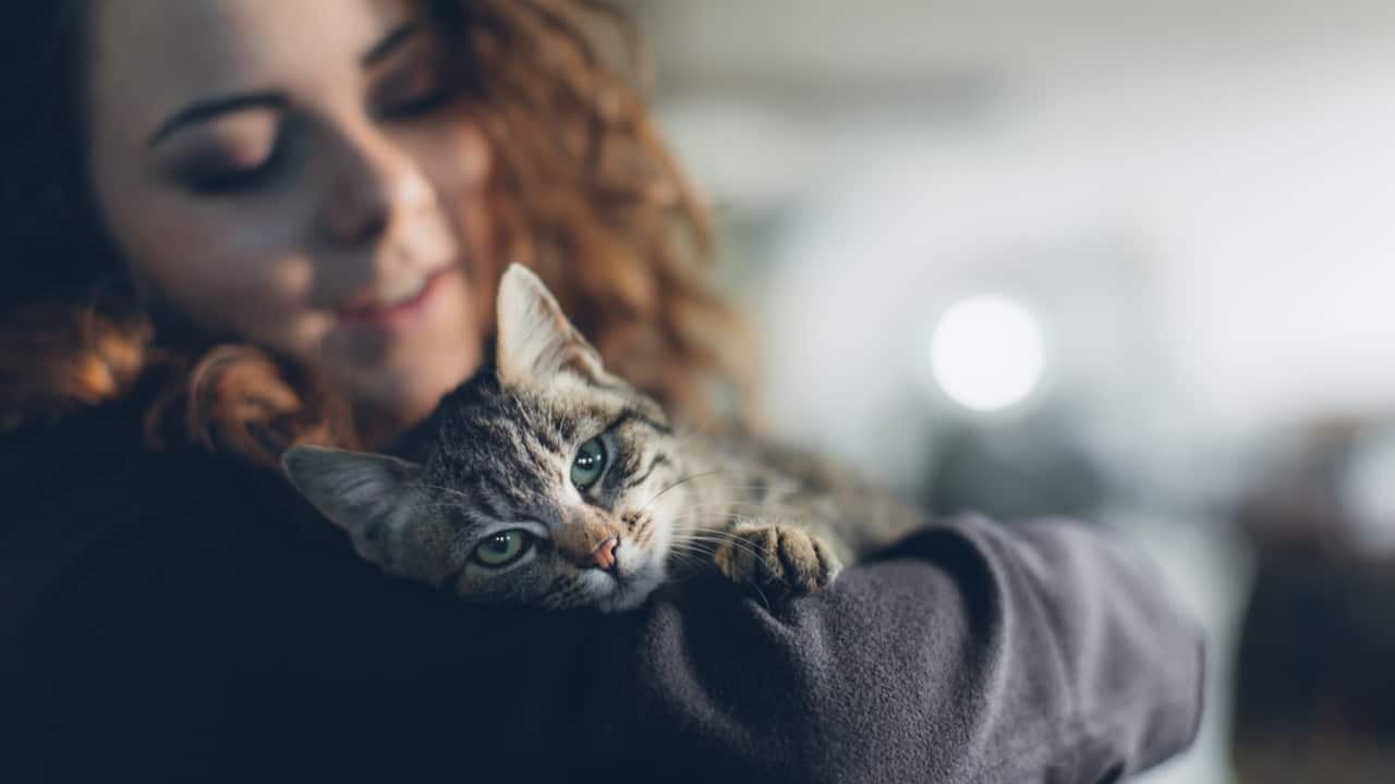 Adopting pets can be a rewarding experience