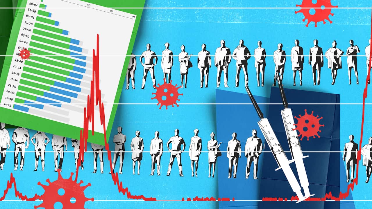 COVID-19 models use mathematics and computer science to create simulated populations.