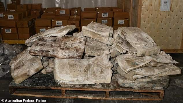 755kg of Mexican meth found stashed in frozen cow hides