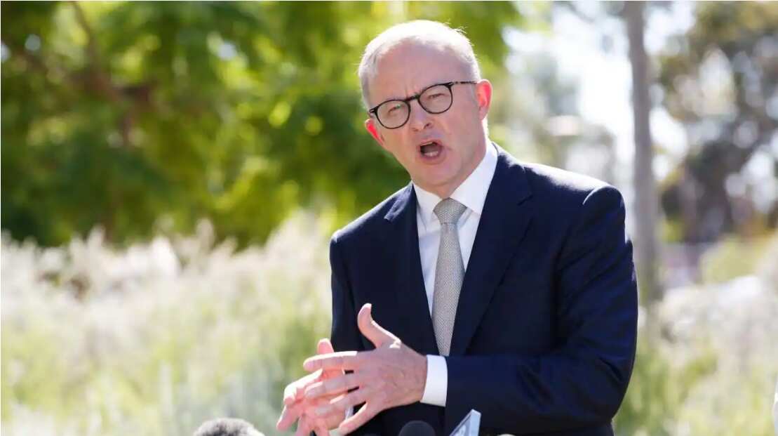 Federal Opposition leader Anthony Albanese
