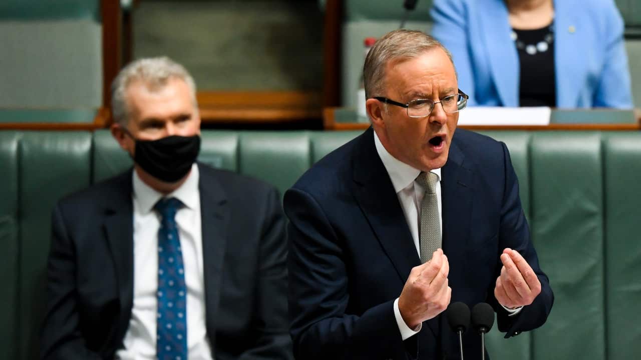 Anthony Albanese 3 agosto