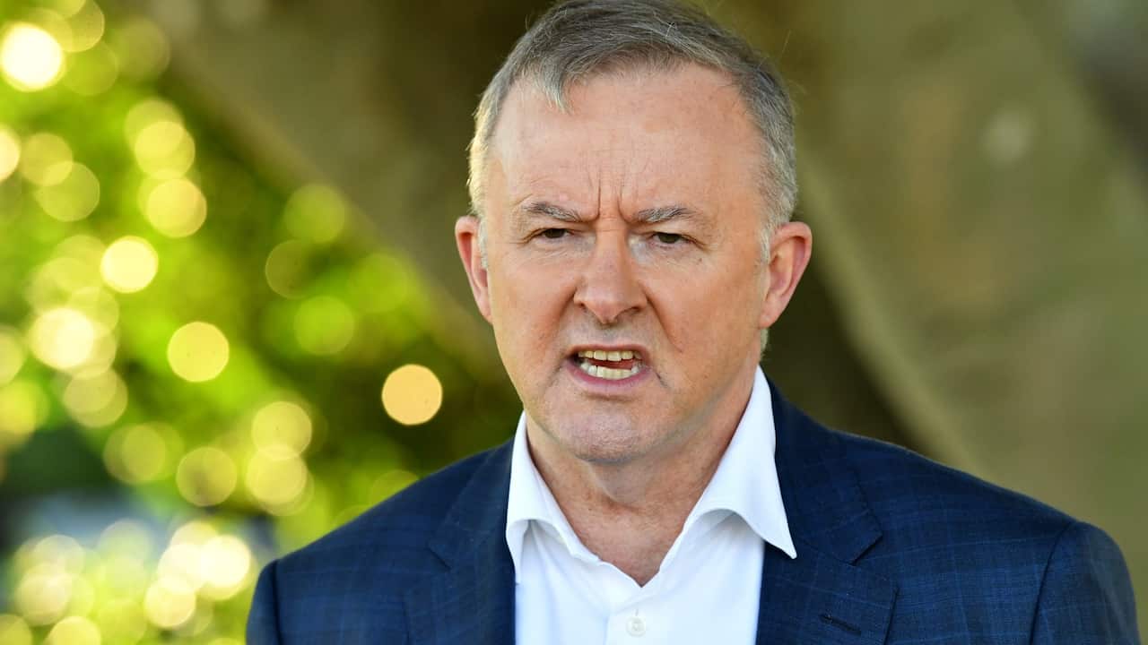 Anthony Albanese