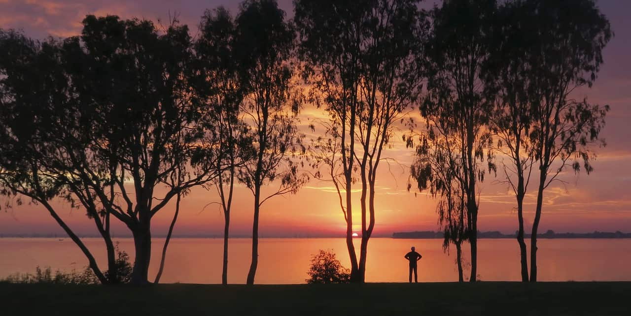 House prices rise in December 2020. 