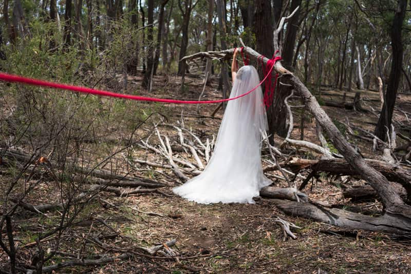 Amala Groom, The Union