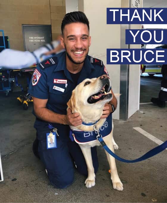 Paramedic Nathaniel Zahariou with Bruce the Labrador, during a World Mental Health Week campaign. Bruce is looking after the mental health of AV paramedics.