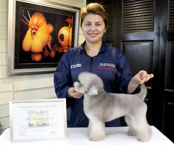 Anastasia Gold, Groomer