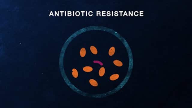 Antibiotics 