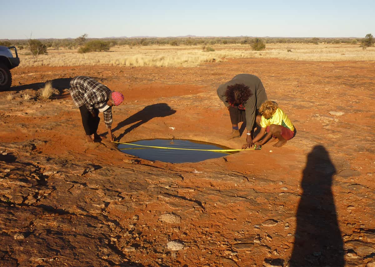 Thousands of wild camels to be shot dead in remote part of Australia