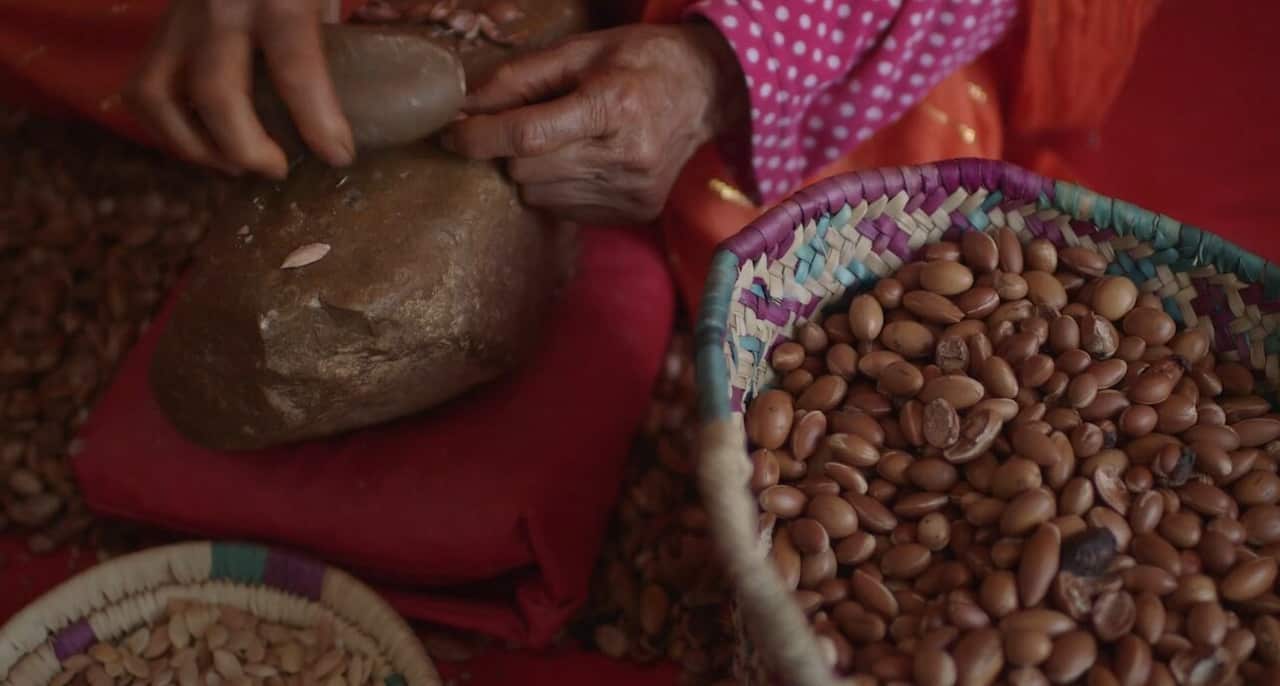 Argan seeds