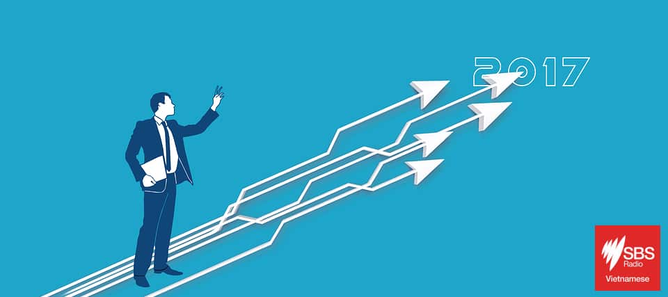 Growth Vietnamese 2017