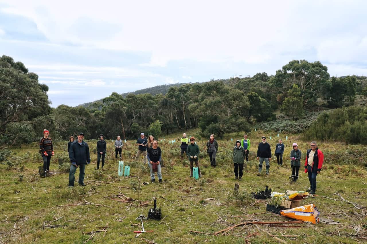 Tree planting day. "Mornington Peninsula Koala Conservation" group