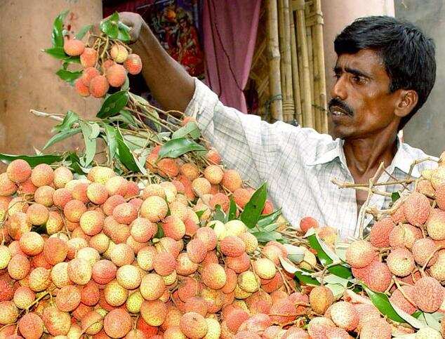 An Indian fruit vendor arranges a display of litchi at his stall in Agartala