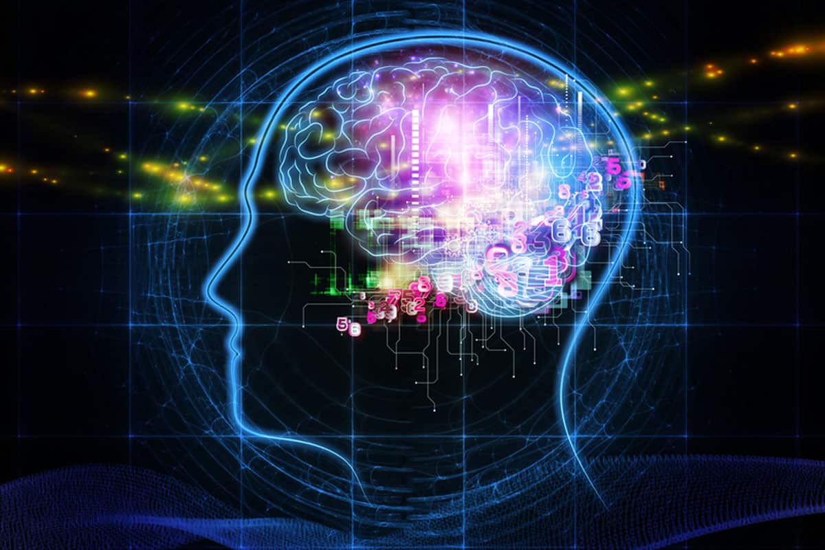 Abstract design made of head outlines, lights and abstract design elements on the subject of intelligence, consciousness, logical thinking, mental processes and brain power