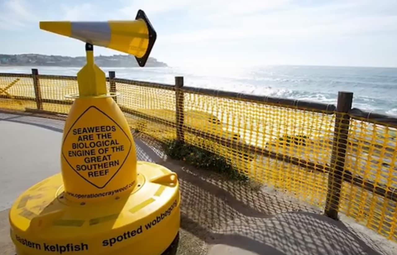 The project used art to connect the science to the community.