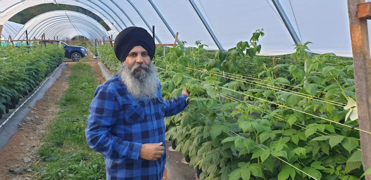 Amandeep Singh Sidhu of Sidhu Farms Australia.