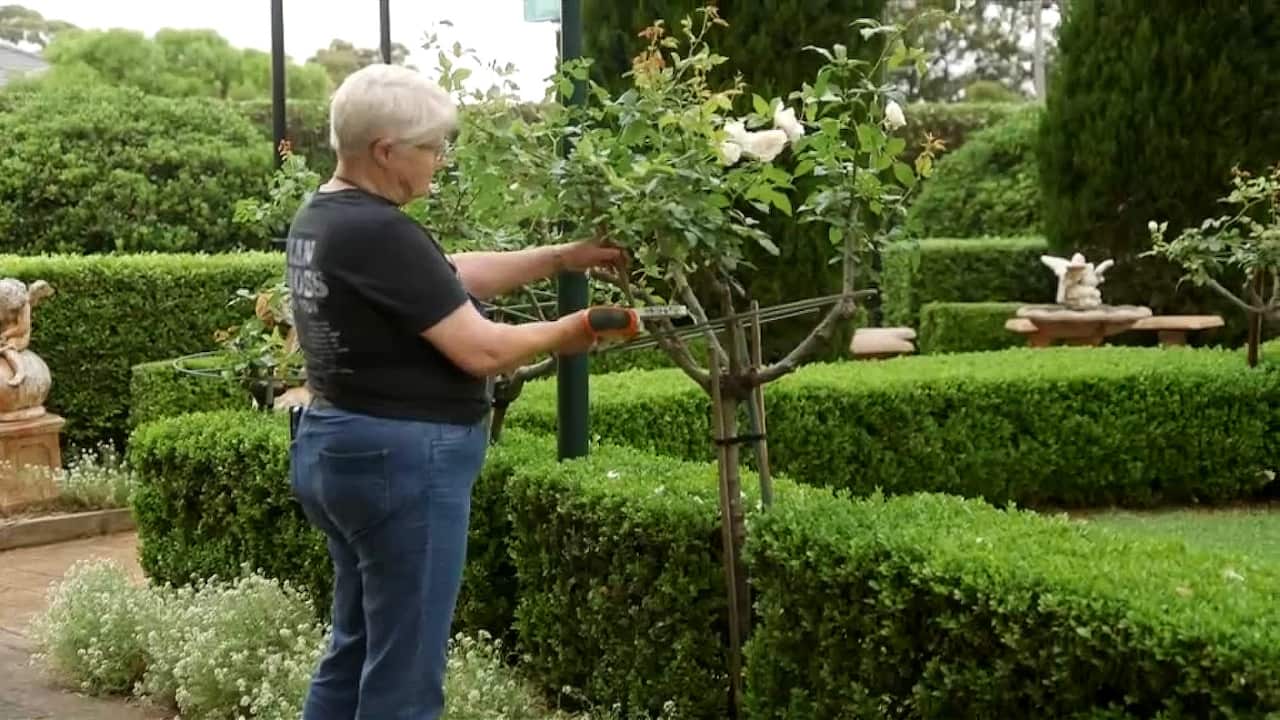 Ashlie Stevenson working in the garden