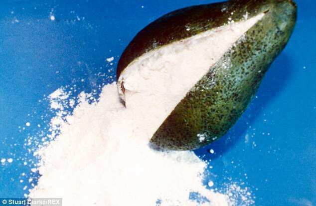 Drugs hidden in avocado