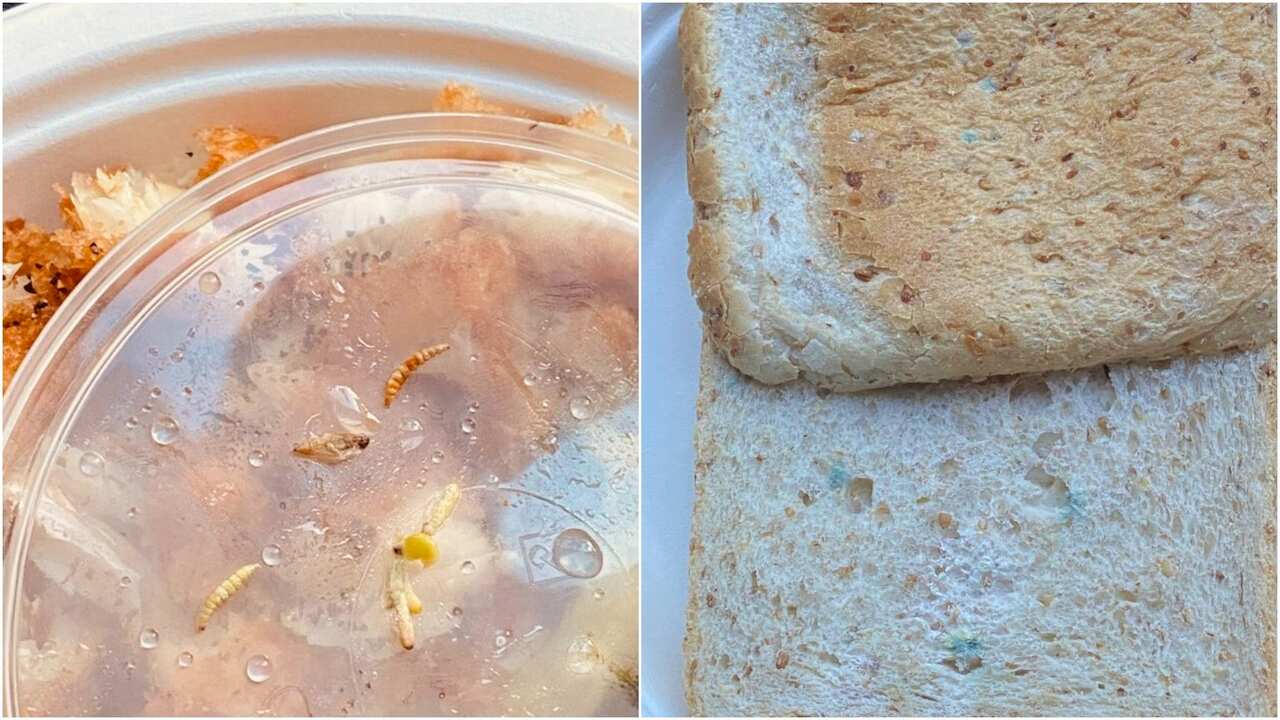 Photos showing maggots and mouldy bread that asylum seekers say was served to them for dinner 