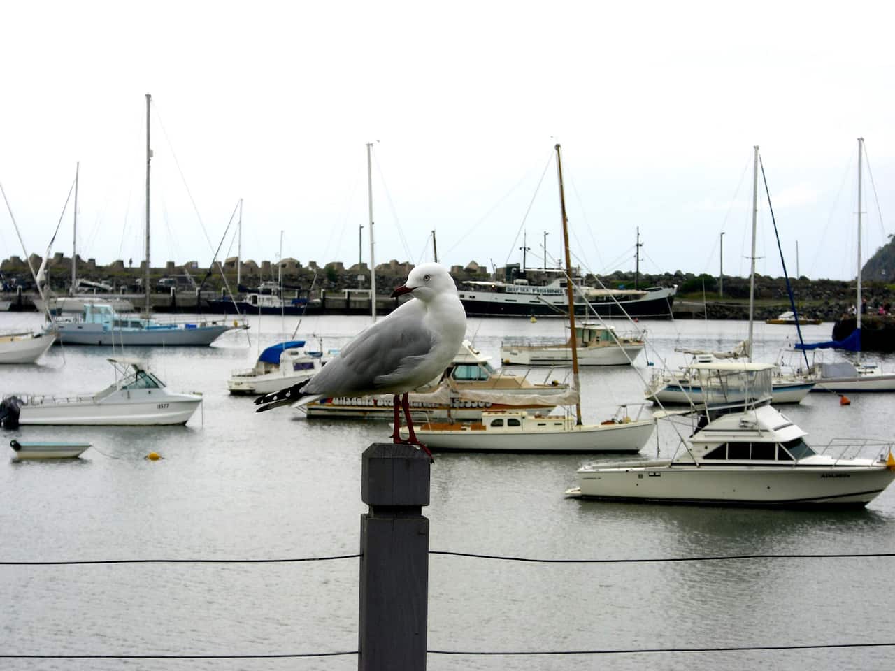 Ulladulla port, where you'll find plenty of fishermen bringing in their catches of the day, April 2007. (AAP Image/Julia Carlisle) NO ARCHIVING