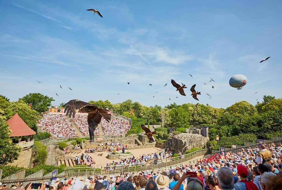 An image of the theme park's arena 