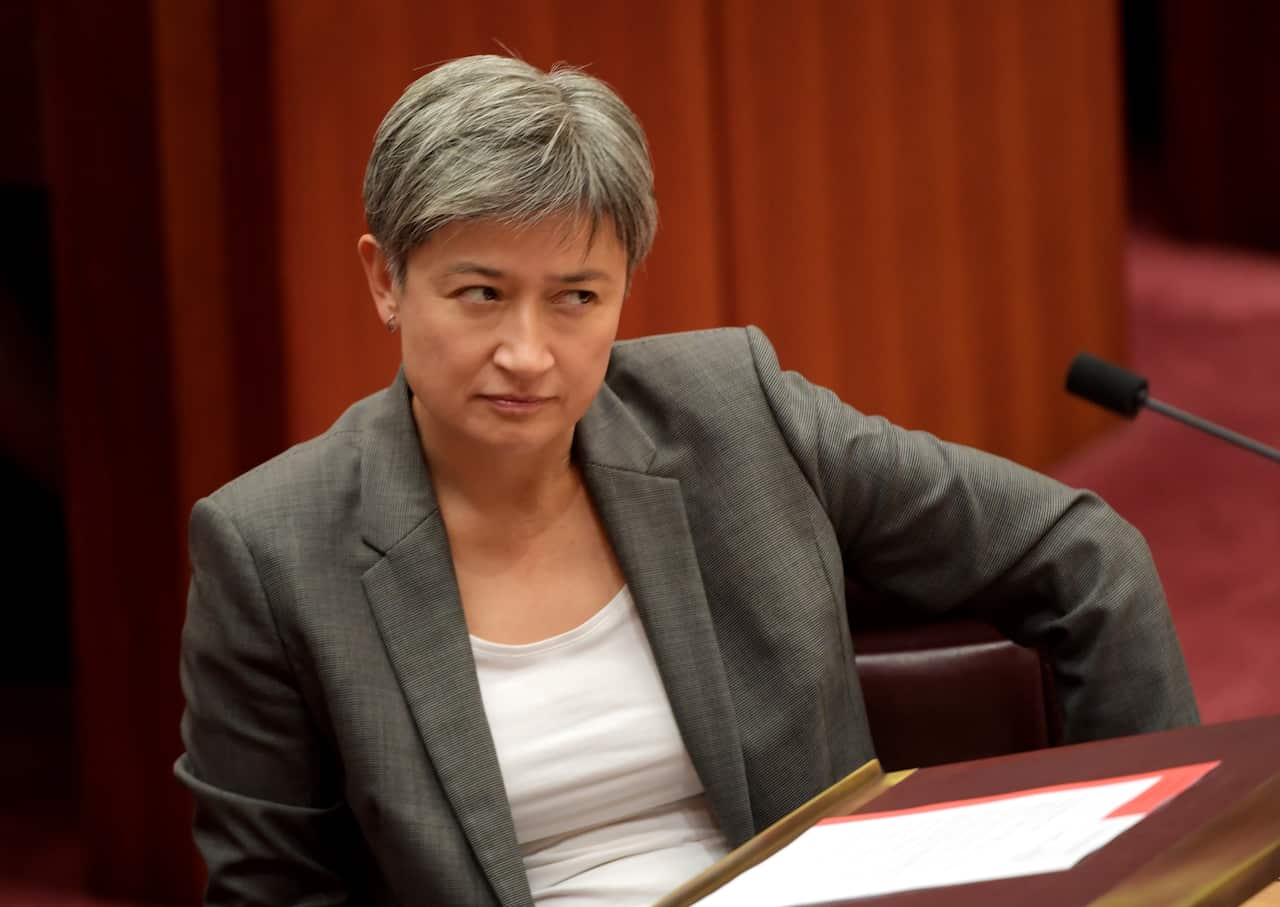 Penny Wong has endorsed Anthony Albanese as the "best person" to become the party's next national leader.