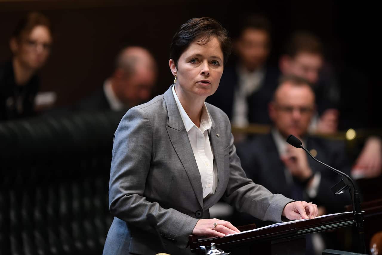 Tanya Davies speaks during amendments to the introduction to the Reproductive Healthcare Reform Bill 2019.