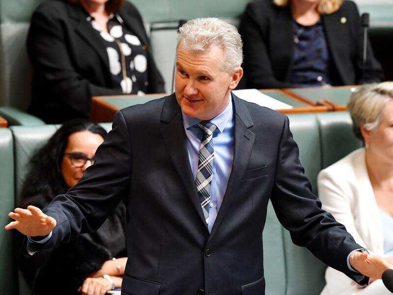 Manager of Opposition Business Tony Burke (file image)