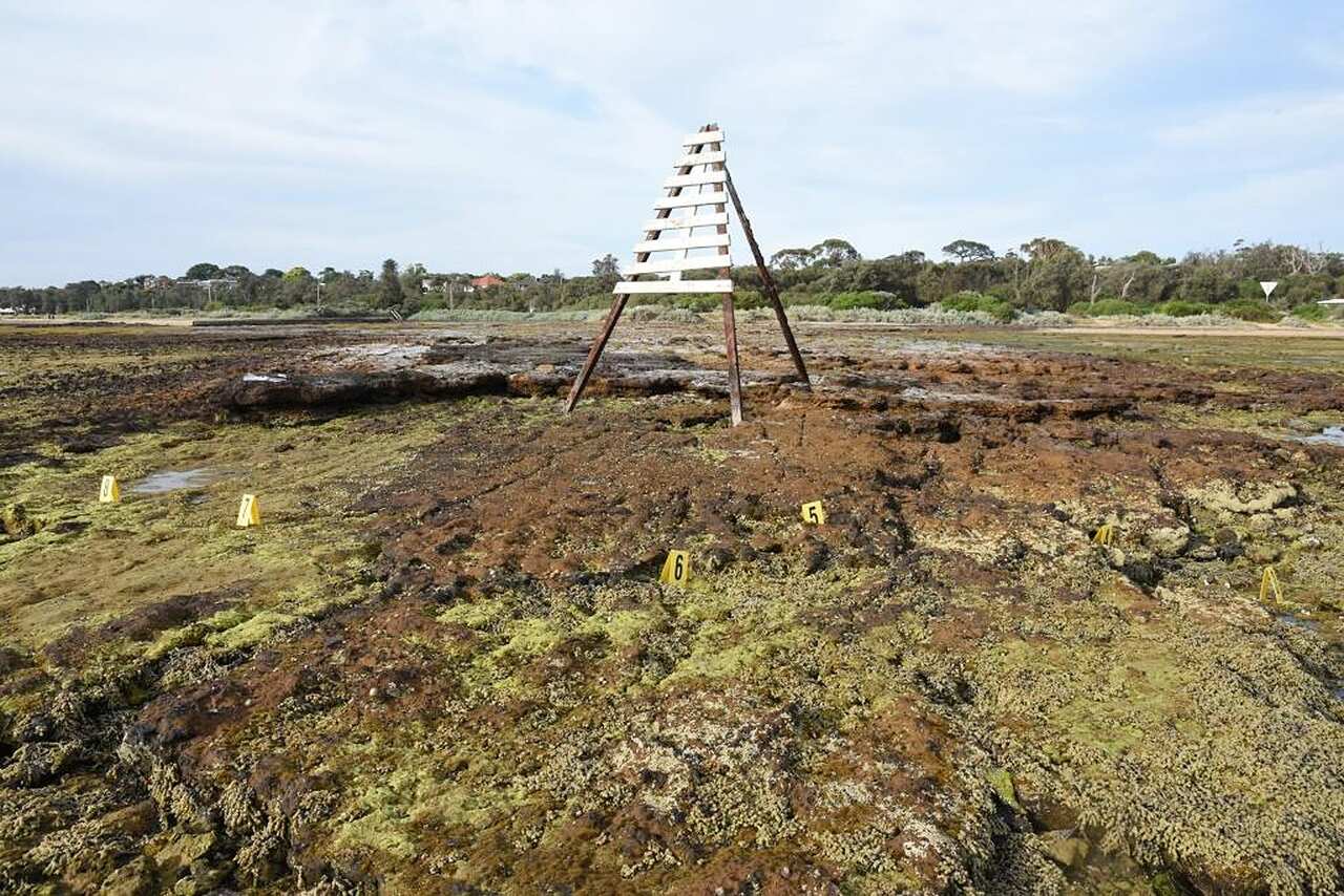 The scene where hundreds of human bone fragments were found in foreshore rock pools at Ricketts Point in Beaumaris, Melbourne.