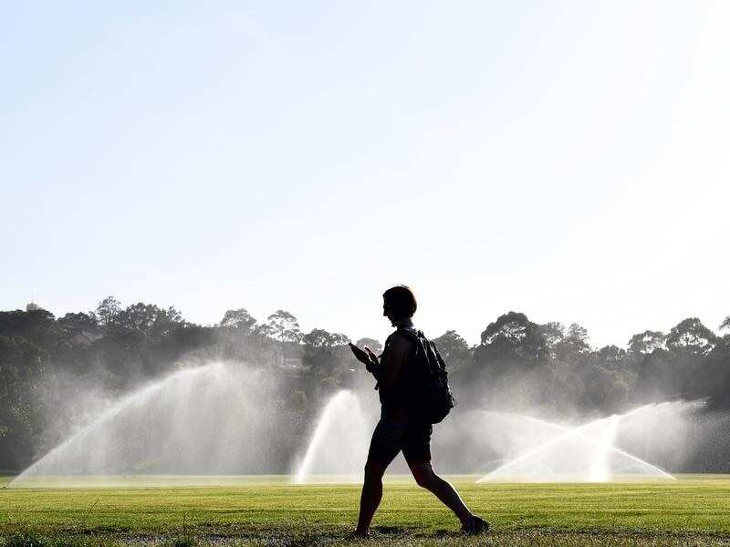 Queens Park Sydney