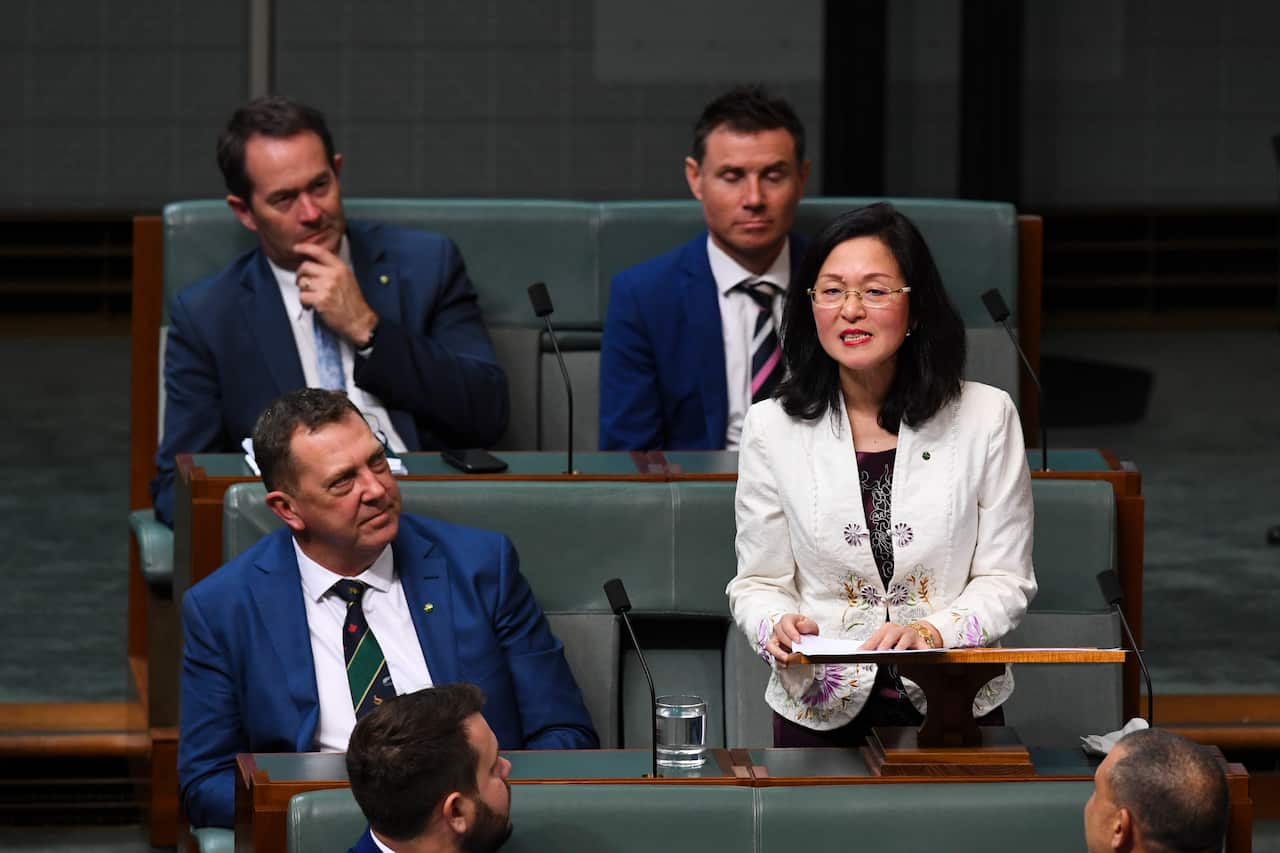 The Member for Chisholm Gladys Liu delivers her maiden speech in the House of Representatives at Parliament House in Canberra, Tuesday, 23 July, 2019. (AAP Image/Lukas Coch) NO ARCHIVING