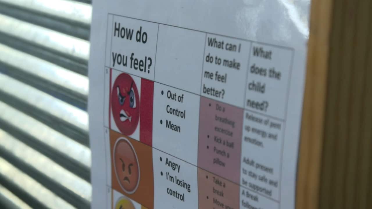 Resources encourage children to identify and manage their feelings.