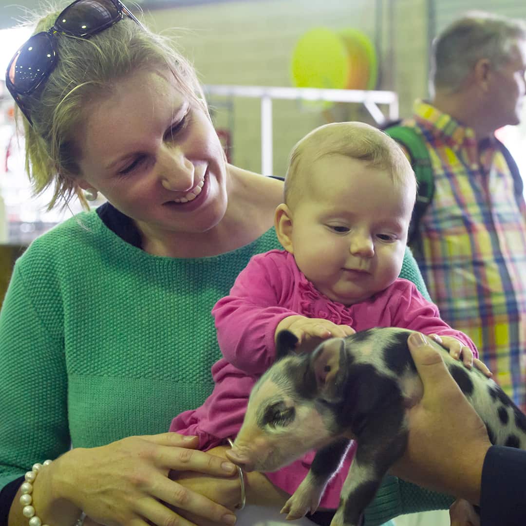 Sydney Royal Easter Show