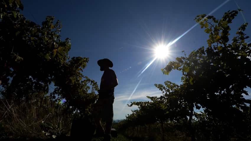 Temporary workers in Australia are being exploited by a “broken system”