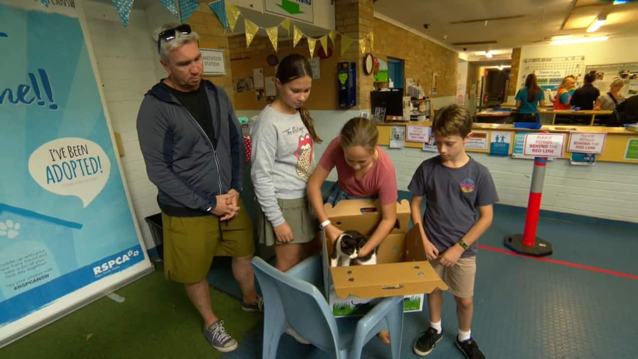 Pet adoption numbers have surged across the country as Australians prepare for months indoors.