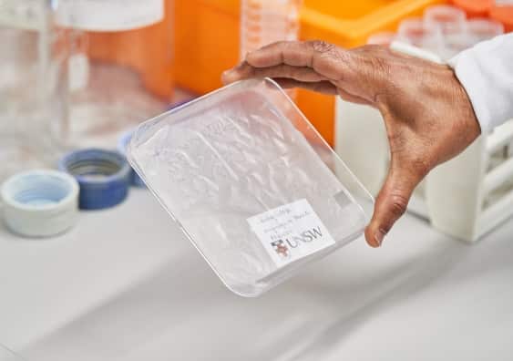 Packaging made from banana plants