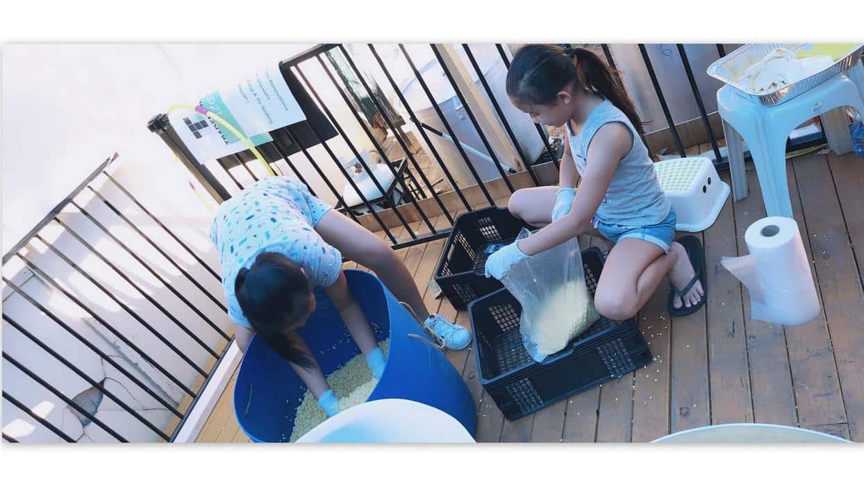 Cả các em cũng giúp một tay