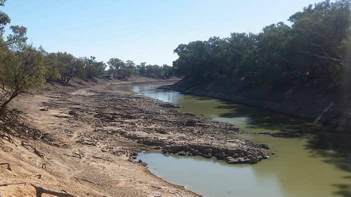 Barka River (Darling) Low flow and suffering a green algae bloom 2018.  