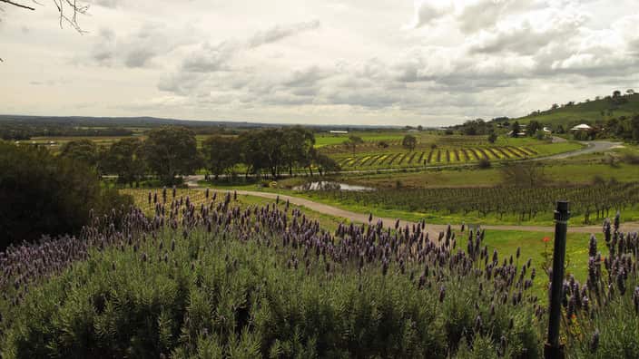 Barossa