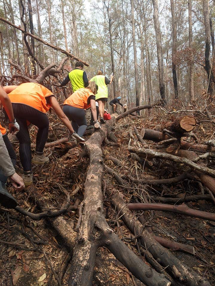 Brazilian Bushfire Aid