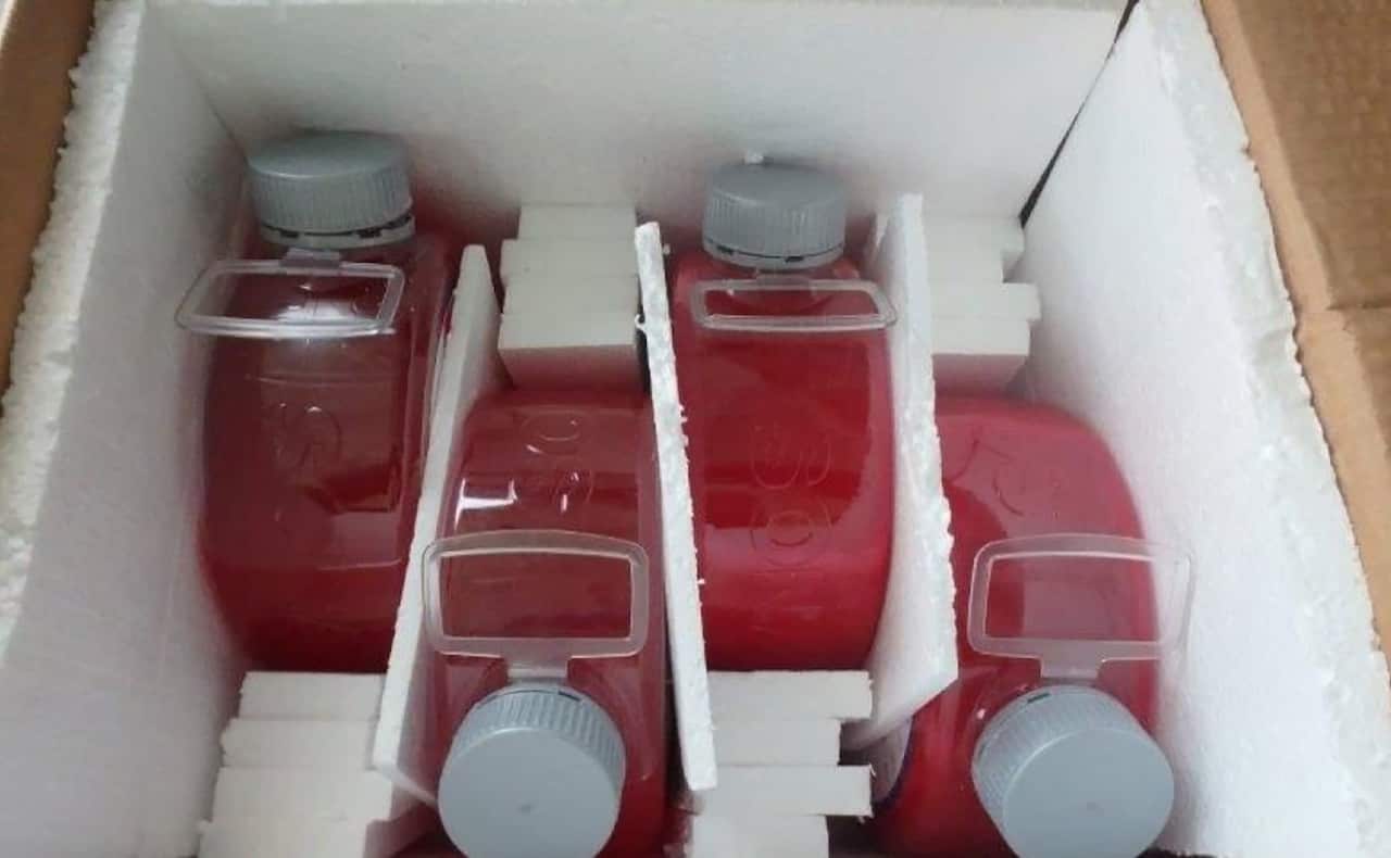 Iranian expats are being targeted by organised crime to act as drug mules, the AFP says.