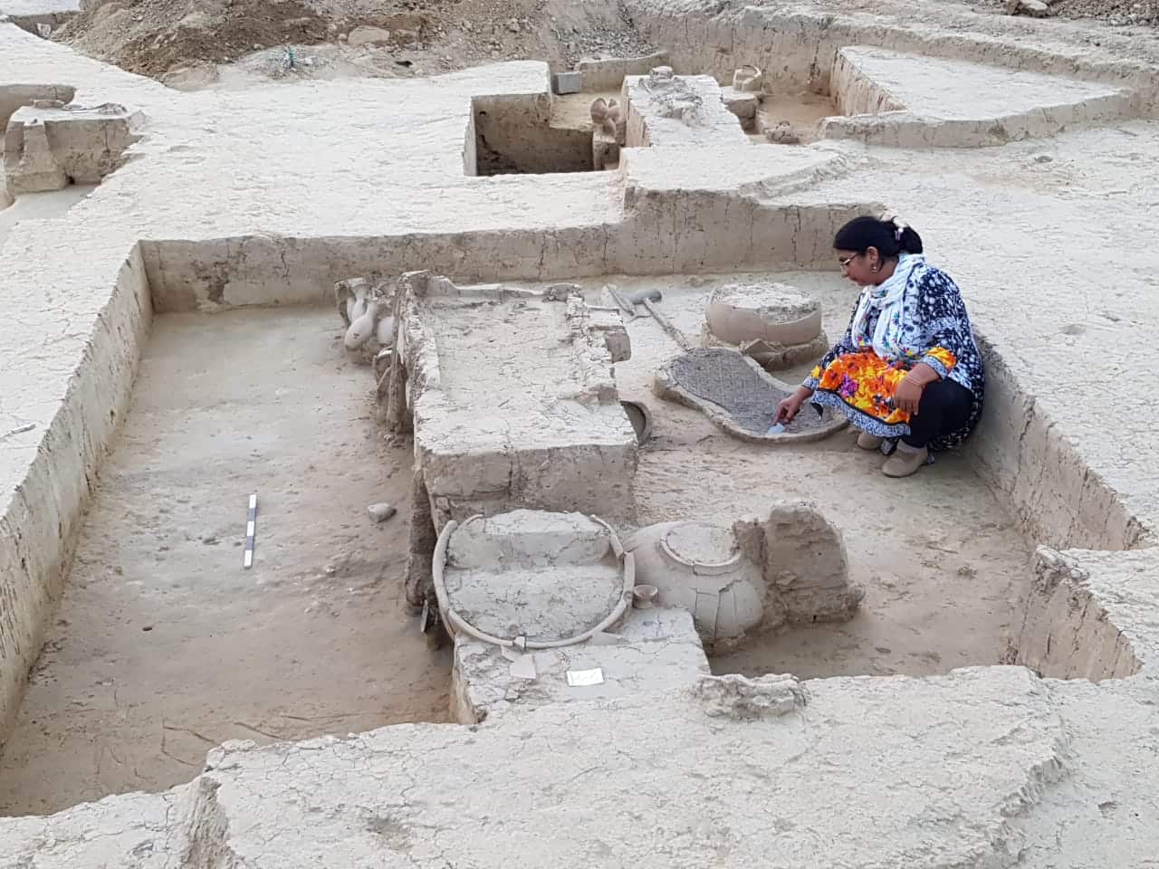 ASI Excavation site
