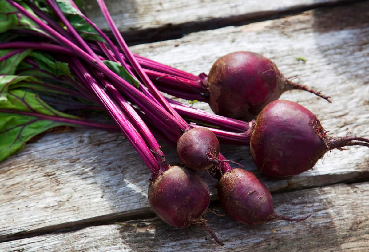 BEETROOT