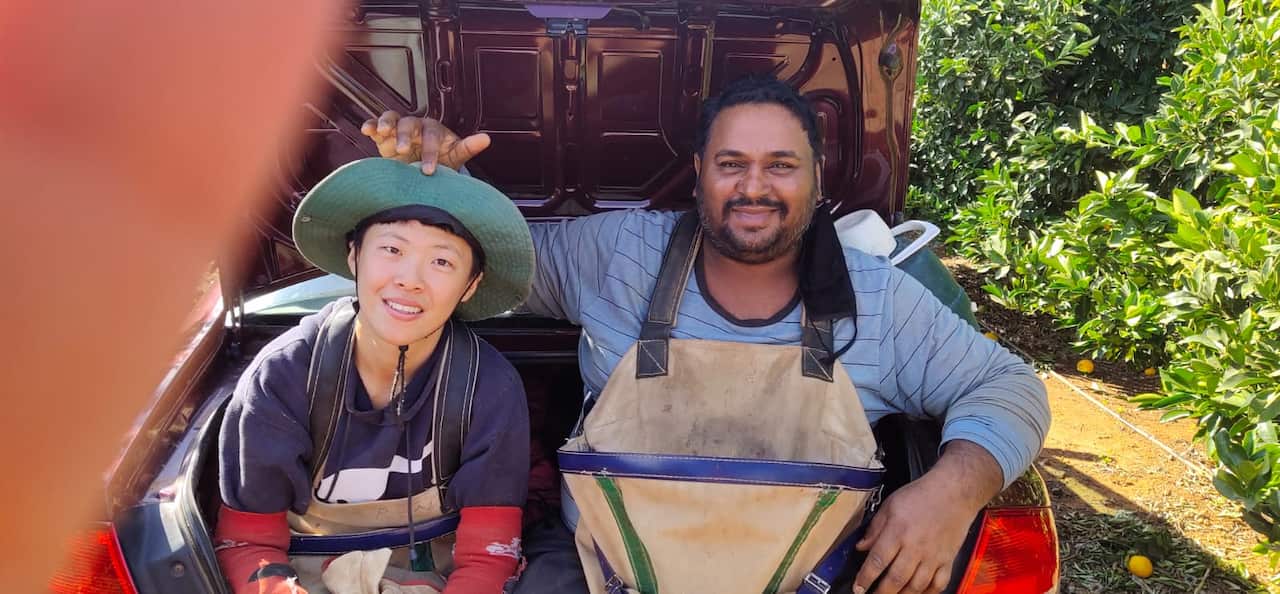 Kate's Story I’m 32, I came to Australia from Taiwan on a working holiday visa. I wanted to work and travel around the different landscape of this country, meeting people from different cultures. After I got here, I discovered all us backpackers had to wo