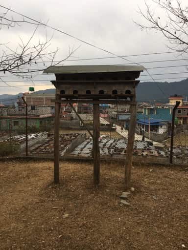 पोखरामा रहेको रित्तो परेवा घर