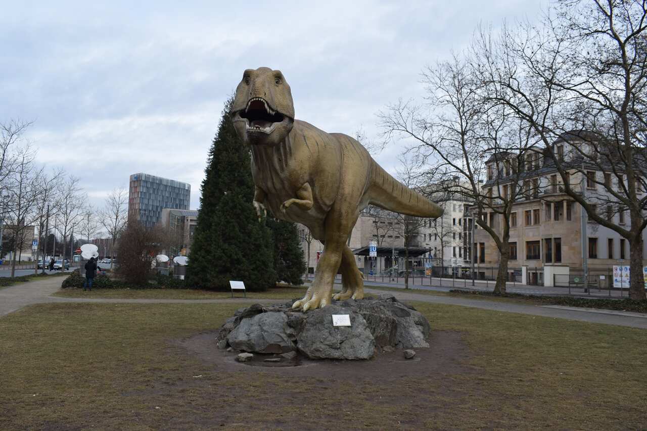 Senckenberg Naturkundemuseum