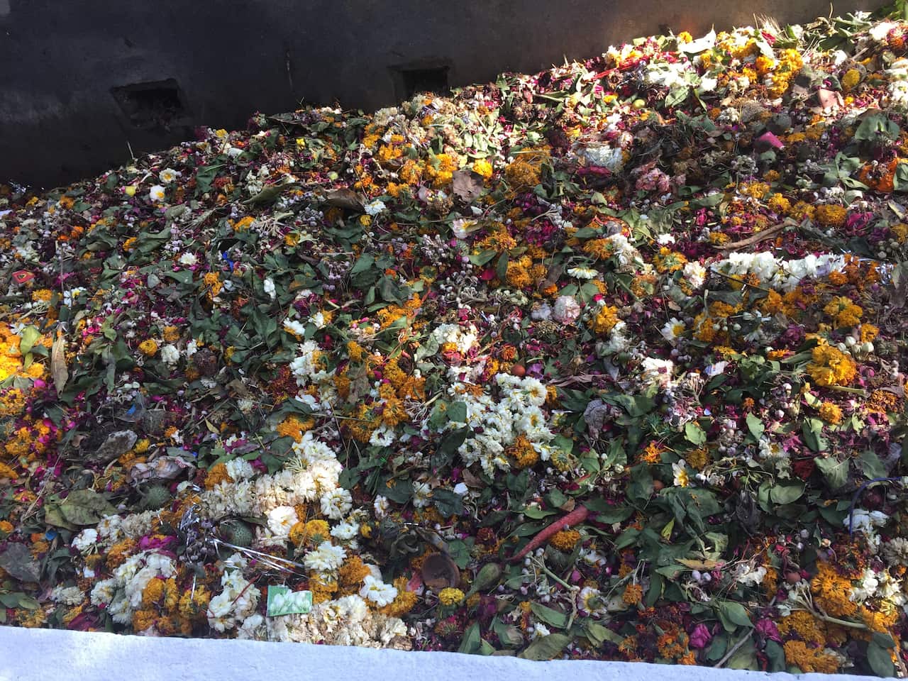 Flowers , leaves etc in  the pit 