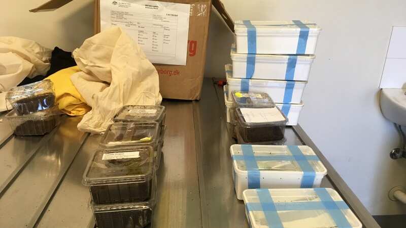 Biosecurity sneaker trying to think outside the box