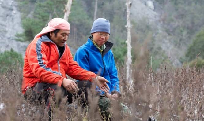 Taiwan Film Festival